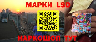стаф Тара