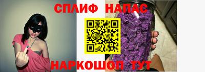 стаф Тара