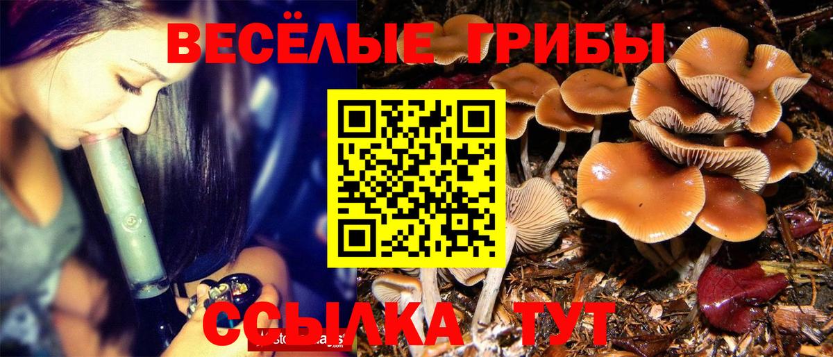Галлюциногенные грибы мухоморы Анапа