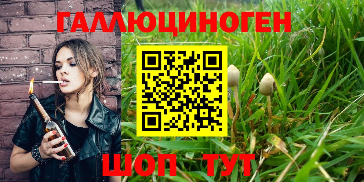 Псилоцибиновые грибы мицелий  Вход с VPN  Анапа 